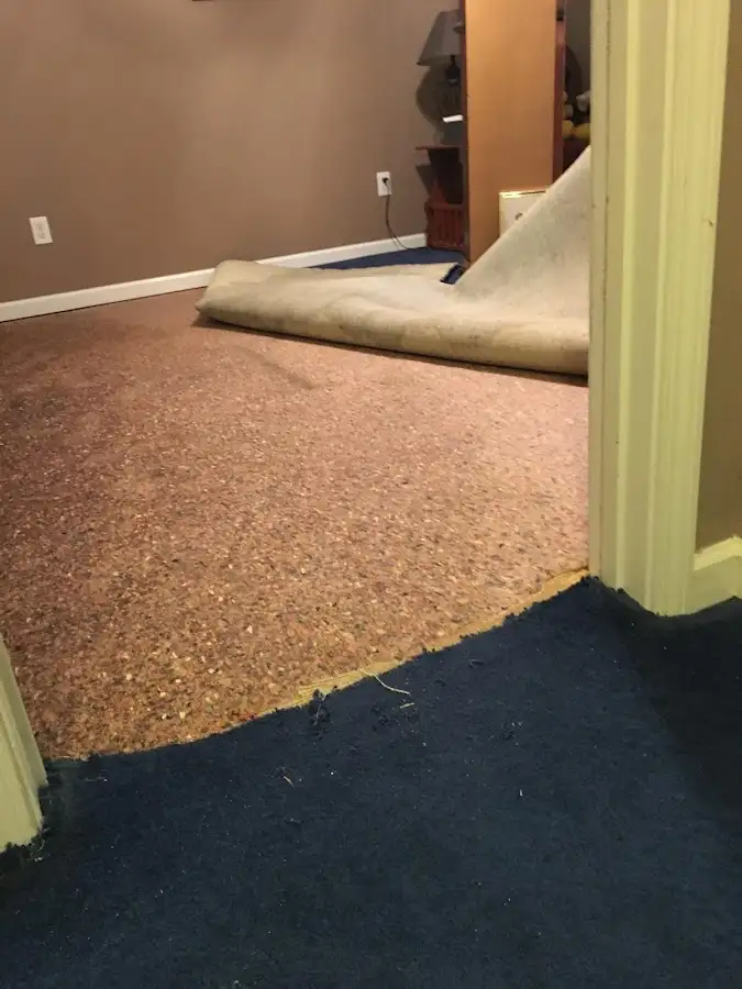 Carpet pad removal revealing water damage during Drying & Dehumidification in Balm
