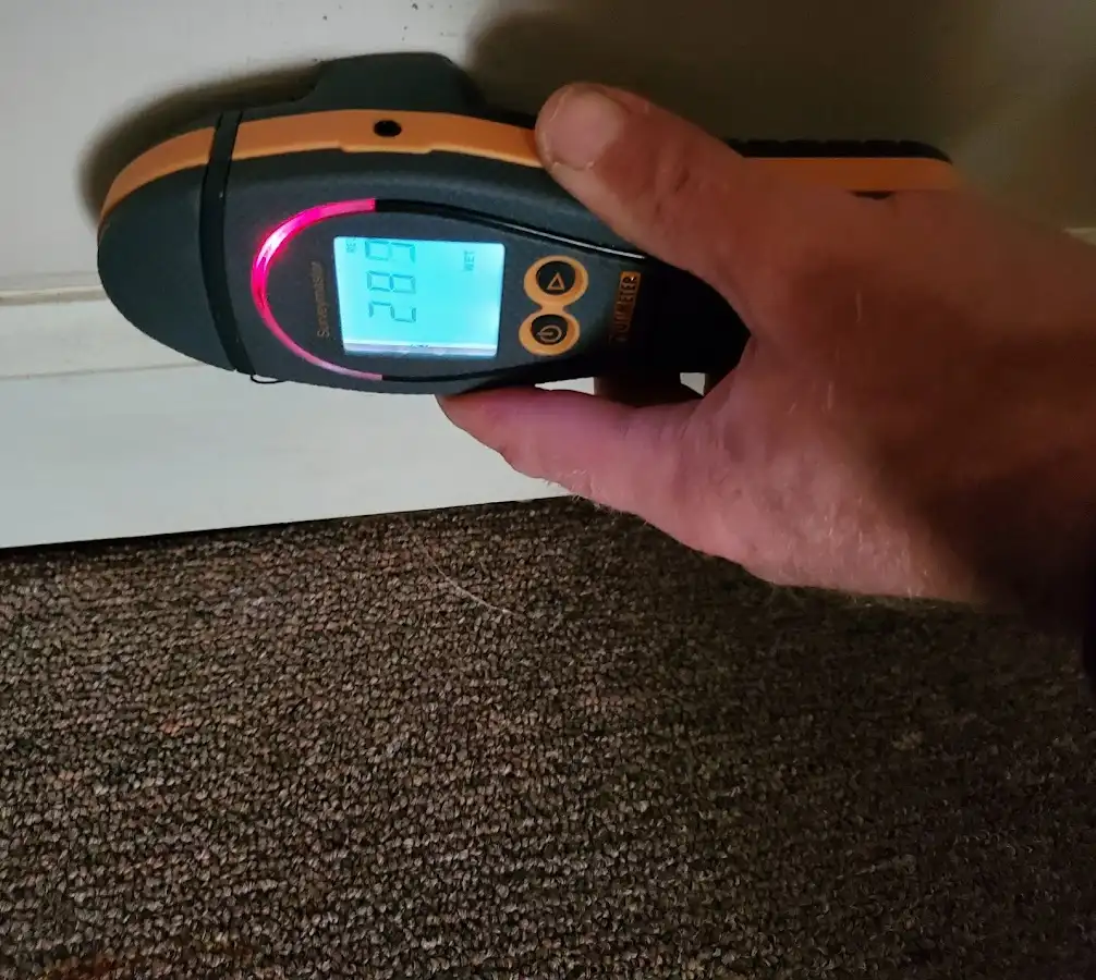 Moisture detection at baseboard during Burst Pipe Cleanup in Balm