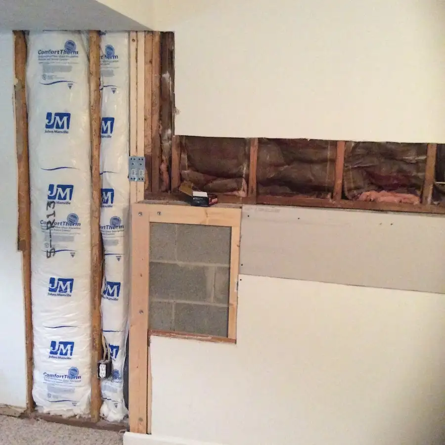 Wall insulation replacement during Basement Flood Cleanup in Balm